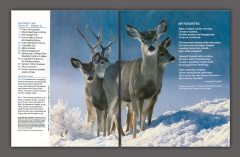 Ranger Rick Inside #295 - #296