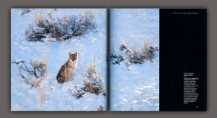 Wildlife Photog of Year #14 inside