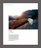 Wildlife Photog of Year #17 Inside