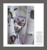 Wildlife Photog of Year #6 Inside