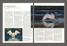 img 284a and img 285a