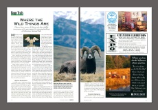 img 315a and img 316a