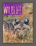 img_0510a National Wildlife Cover